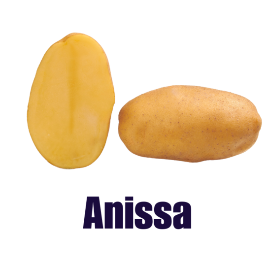 Πατατόσπορος Alaska